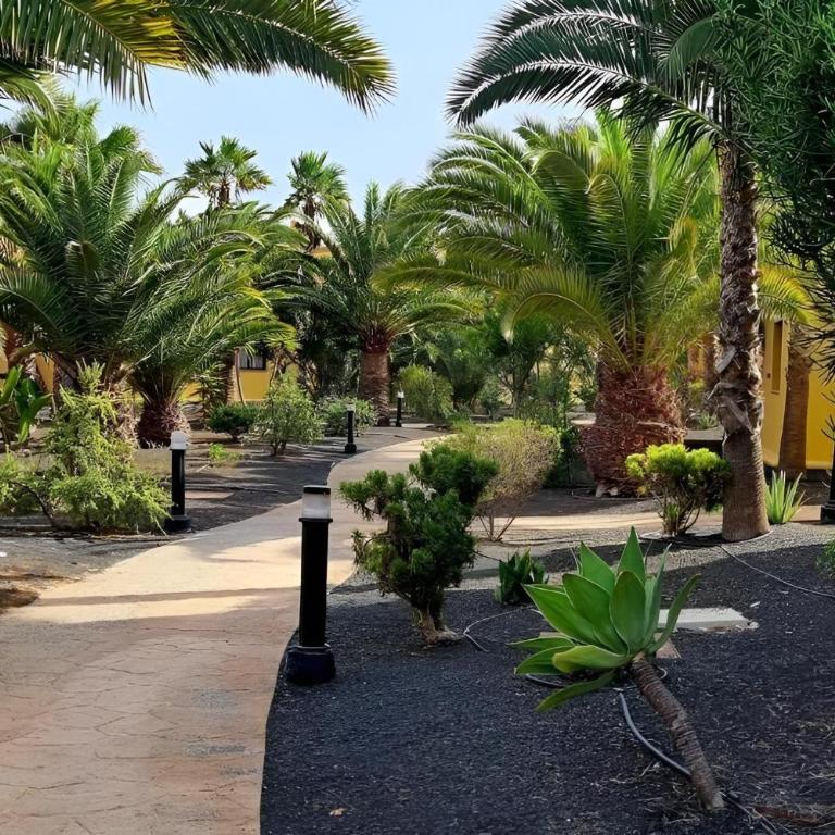 Frangipani - Apartment with Terrace & Shared Pool - Apartment mit 1 Schlafzimmer - 31