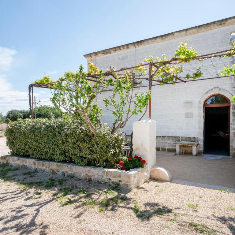 Masseria Lamapecora - Appartamento Superior con 1 Camera da Letto e Balcone - 15