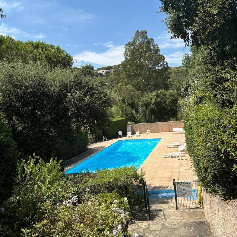 Le Mazet des amis-tree-lined-swimming pool-near sea - Villa - 16