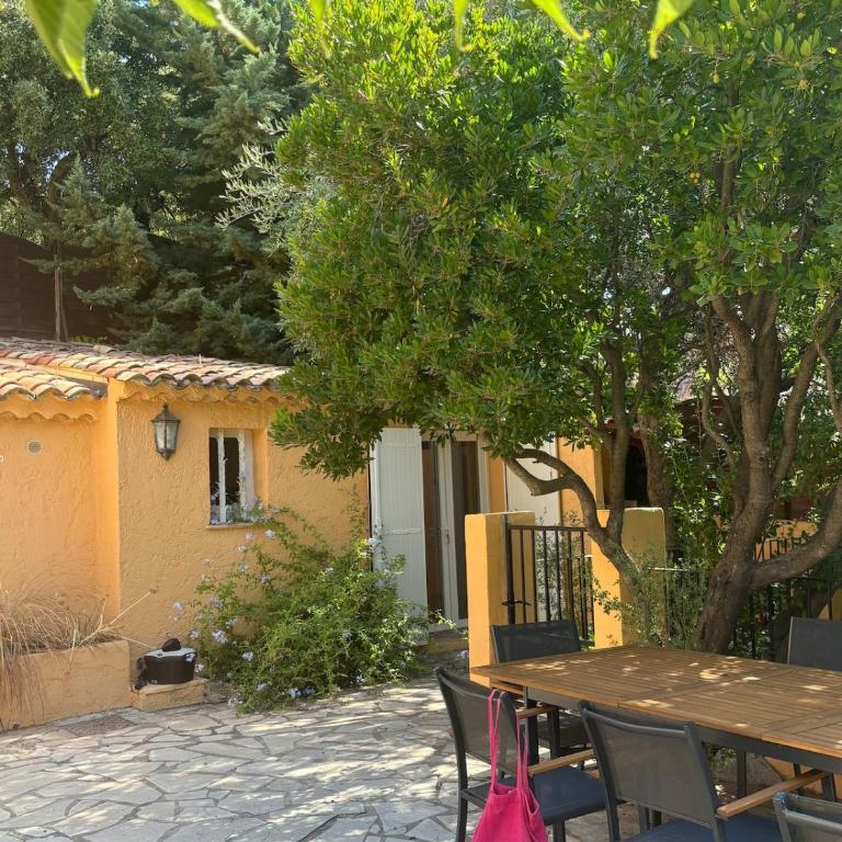 Le Mazet des amis-tree-lined-swimming pool-near sea - Villa - 22