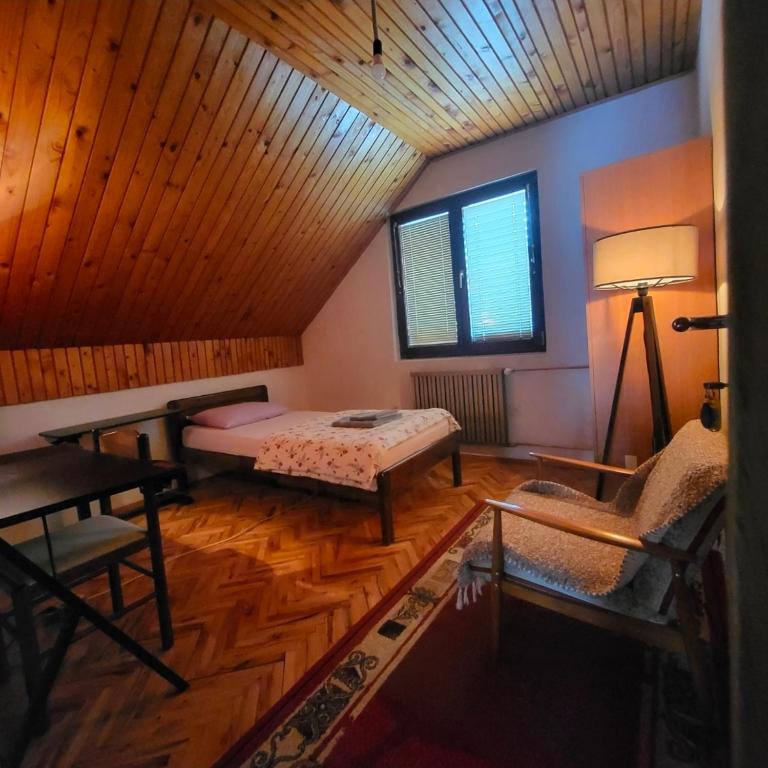 Kozorog Durmitor - Large Single Room - 1