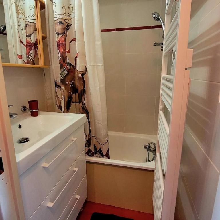 Studio de montagne - résidence le saphir - Apartment mit 1 Schlafzimmer - 12