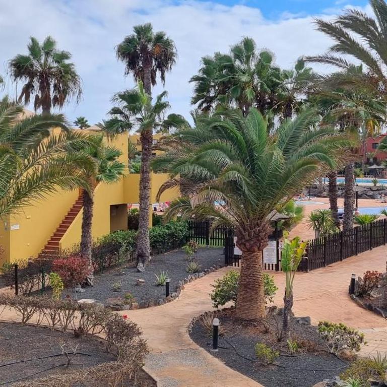 Bouganville - Apartment with Terrace & Shared Pool - Appartement 1 Chambre - 21