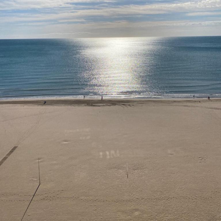 Alma del Mar, primera línea de playa, reformado Junio 2026 - Appartement 1 Chambre - 32