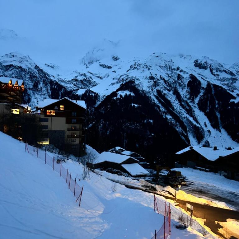 Black Diamond Sainte Foy Chalets - Penthouse - 10