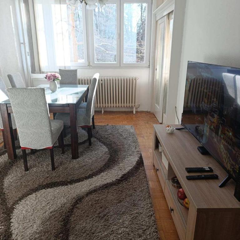 Visnjik Park Prestige Apartments Sarajevo - Two-Bedroom Apartment - 9