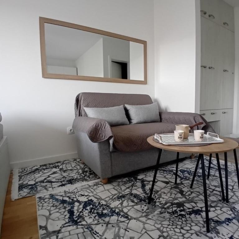 AS Apartment Urban Slatina - Appartement 1 Chambre - 22