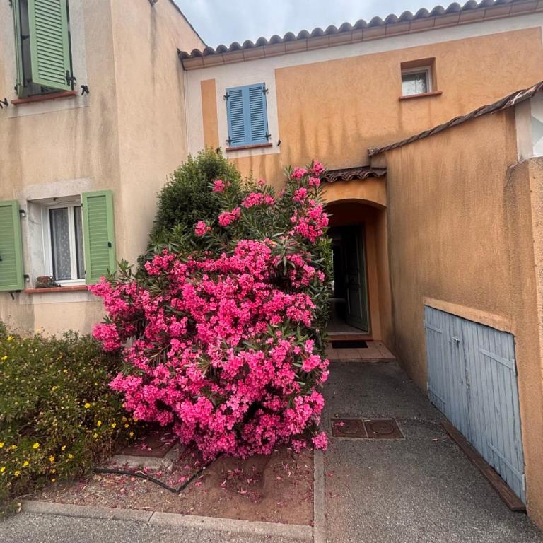 Bright house with terrace and garden in Fréjus - Ferienhaus - 11