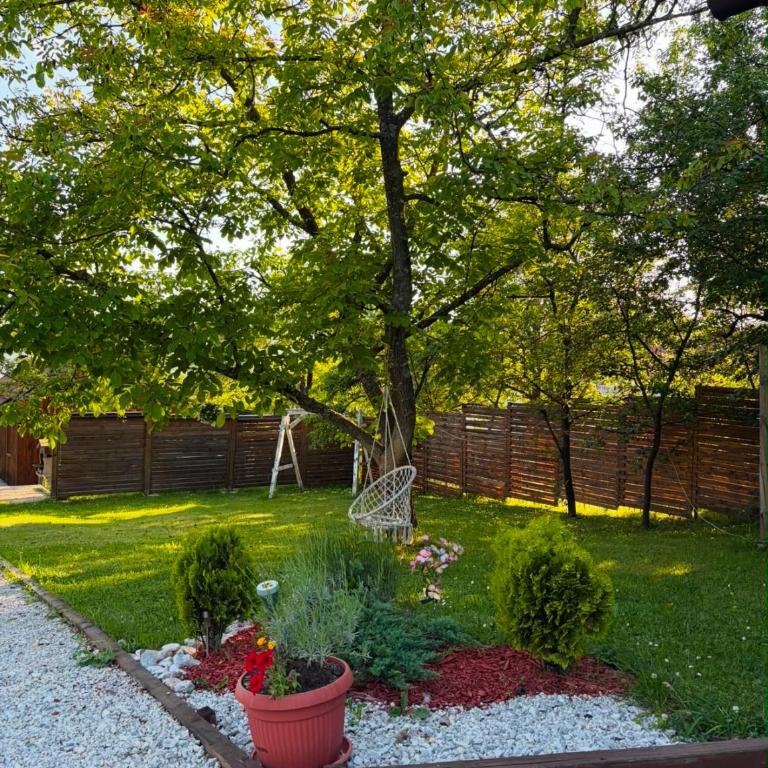 Hellena - Kuća sa 1 Spavaćom Sobom - 5