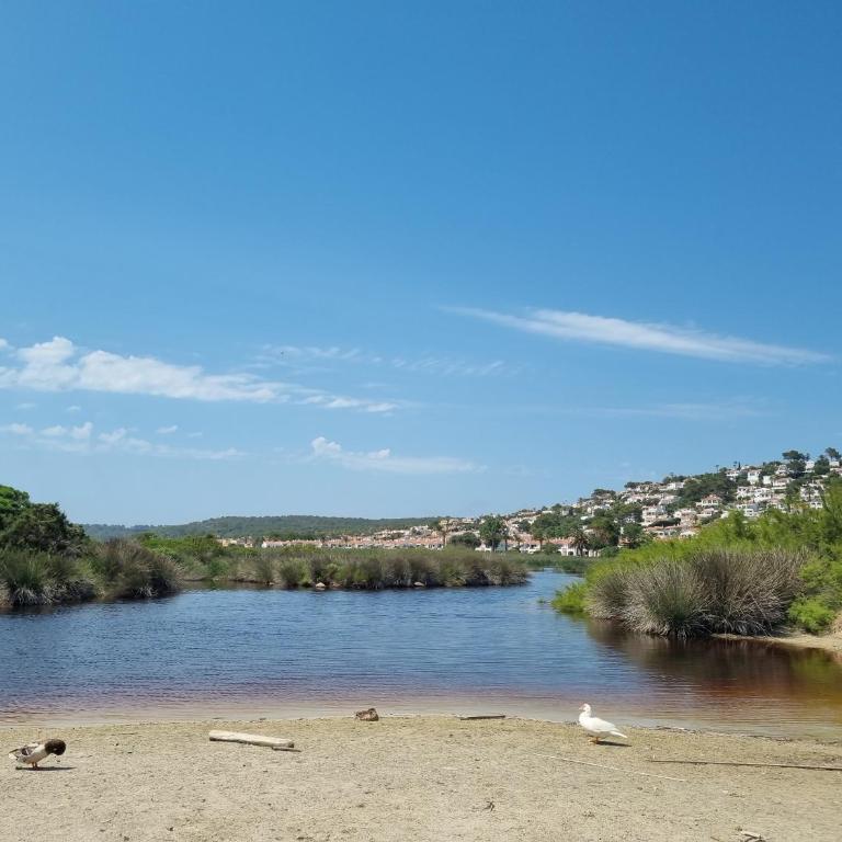 Posidonia -Son Bou Apartment - Two-Bedroom Apartment - 35
