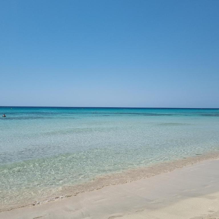 Posidonia -Son Bou Apartment - Two-Bedroom Apartment - 1