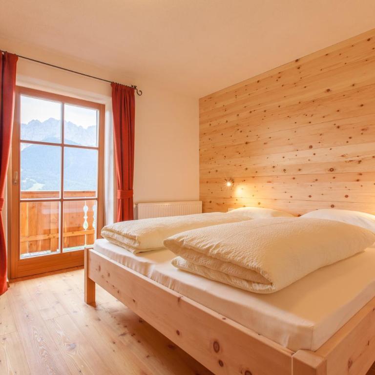 BIO Ranerhof - Apartamento de 1 dormitorio con vistas a las montañas - 5