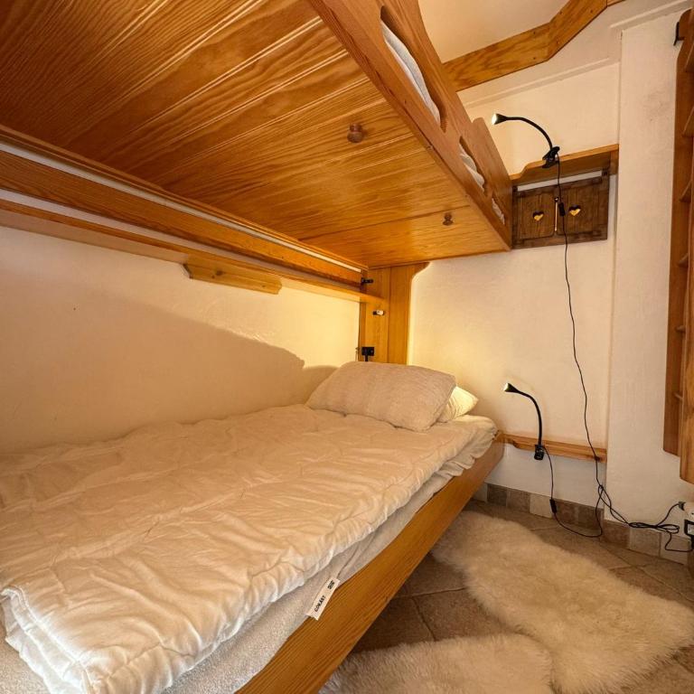 HL 3F - Très bel appt vue sur le lac - ski au pied - Appartamento con 1 Camera da Letto - 8