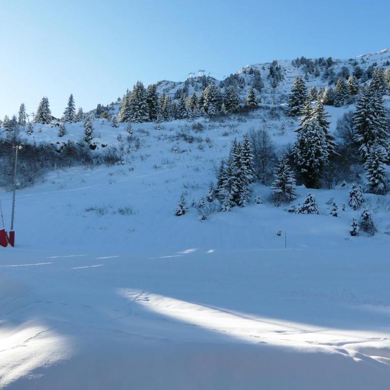 Residence Le Lac Blanc - Appartement Standard - 9