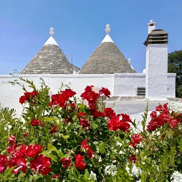 Trullo in piena valle d'itria del 1800 - Casa con 3 Camere da Letto - 62
