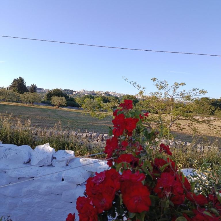 Trullo in piena valle d'itria del 1800 - Casa con 3 Camere da Letto - 66