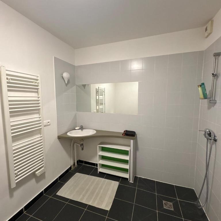 Apartment in the center of Grenoble - mountain view - Two-Bedroom Apartment - 8