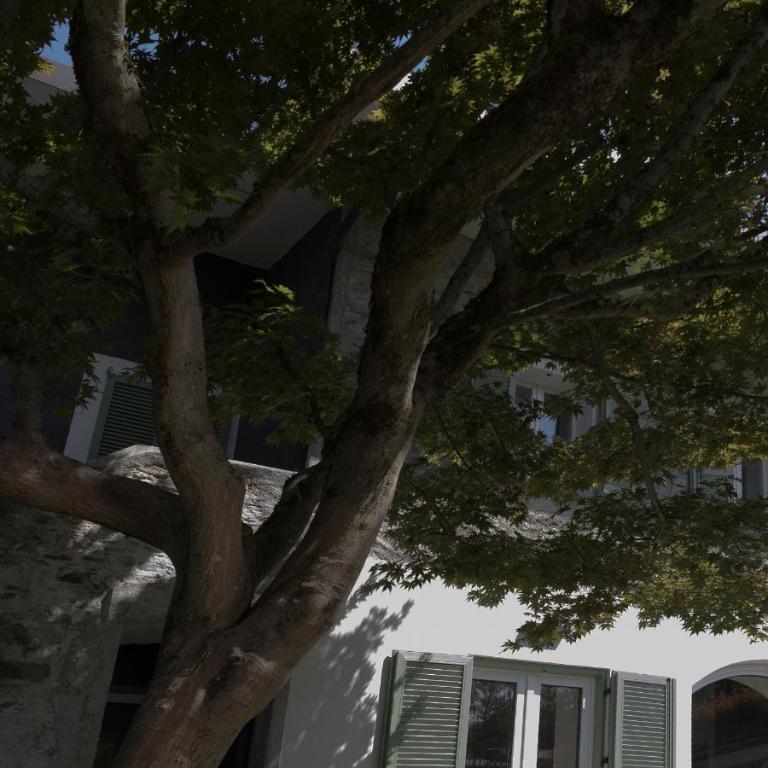 La casa del lupo - Appartamento con 2 Camere da Letto - 22