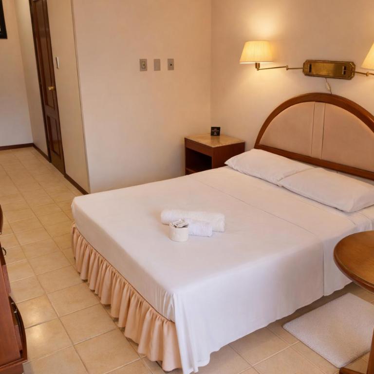 Hotel Asturias - Habitación con cama grande y vistas al jardín - 6