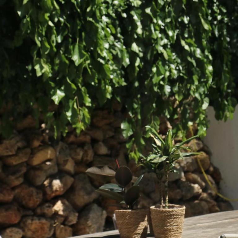 Marbella Bliss - Serenity 4-Bedroom VILLA with Exclisive HEATED Private POOL & Jacuzzi, Tropical Garden, Marbesa - Steps from the Cabopino Beach - Villa - 69
