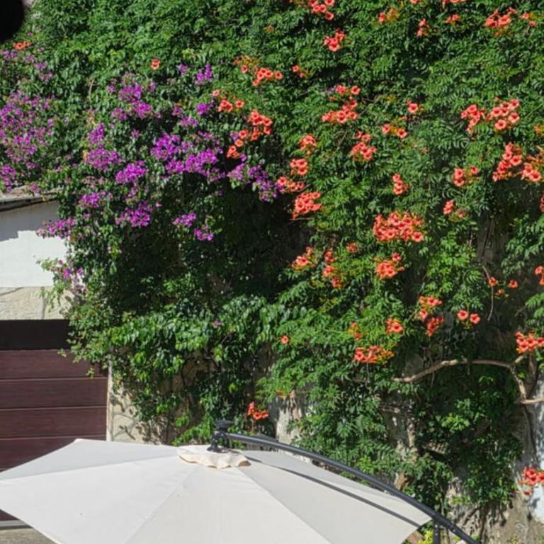 Villa Cardak - Two-Bedroom Apartment with Water View - 31