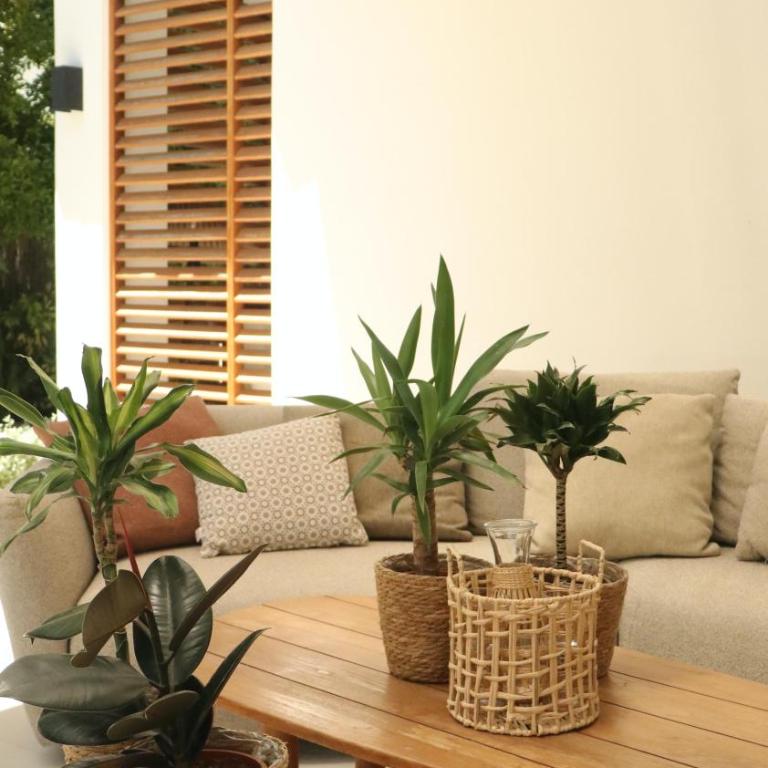 Marbella Bliss - Serenity 4-Bedroom VILLA with Exclisive HEATED Private POOL & Jacuzzi, Tropical Garden, Marbesa - Steps from the Cabopino Beach - Villa - 18