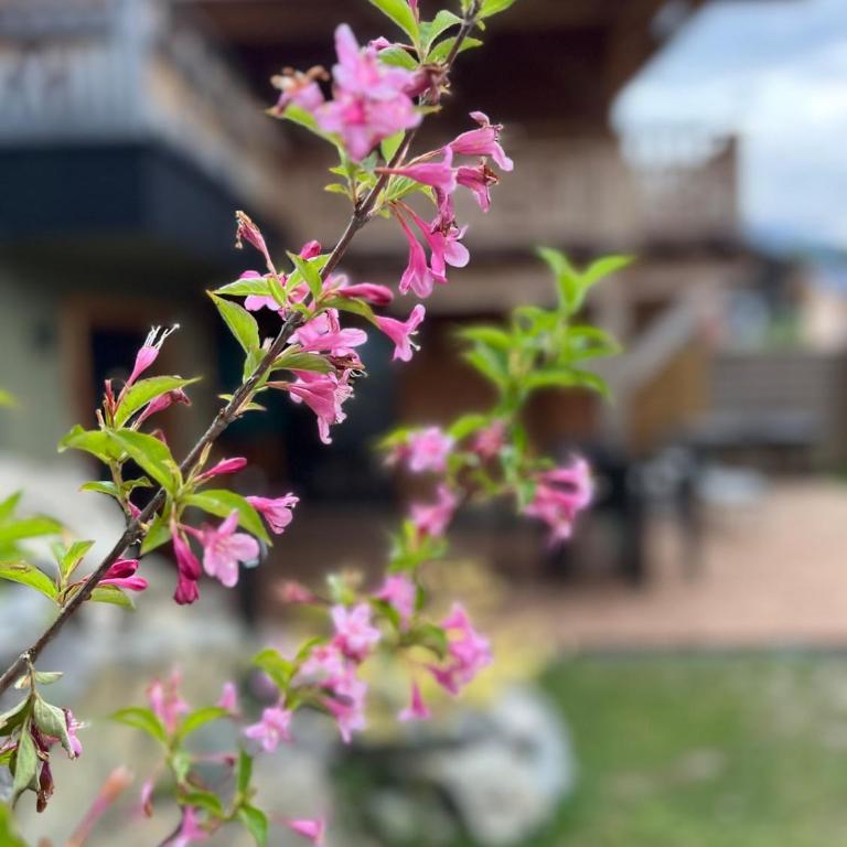 Family chalet for 10 people Terrace and Mountain view - Appartamento - 4