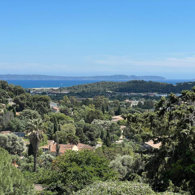 Soleil 1481 - One-Bedroom Premium Apartment with Ocean View - 4