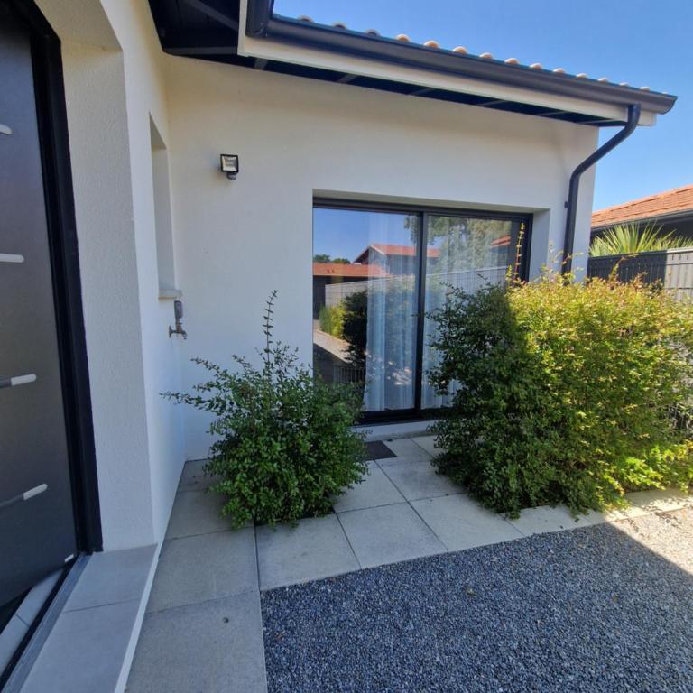 Villa des ortolans - Appartement 1 Chambre - 2