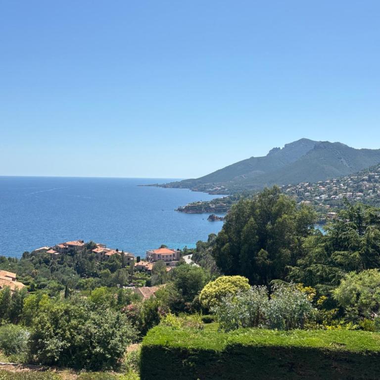 Au calme ! Vue Mer et Terre - Appartement 1 Chambre - 4