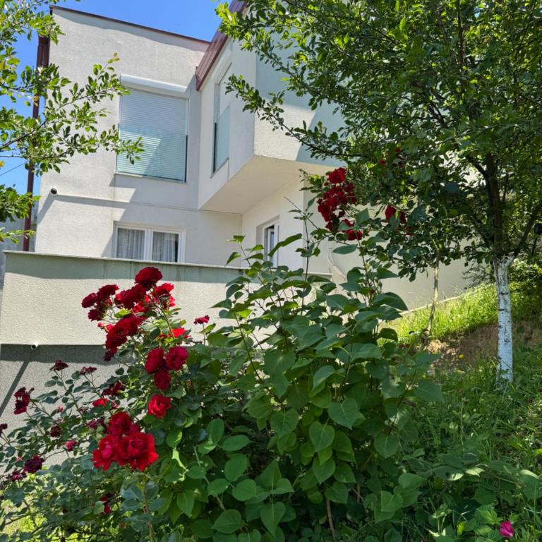 Villa Sunny Alley - Sunčani Sokak - Two-Bedroom Apartment with Terrace - 1
