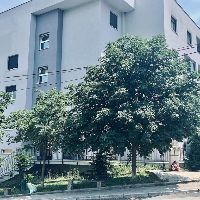 SunnyOasis - Two-Bedroom Apartment - 8