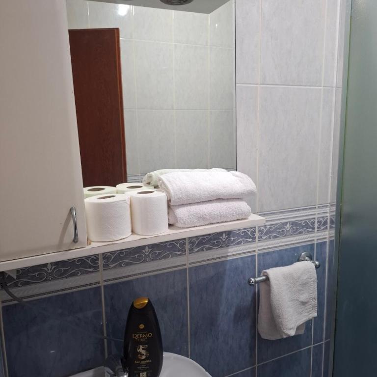 Apartman Rea - Apartman sa 1 Spavaćom Sobom - 2
