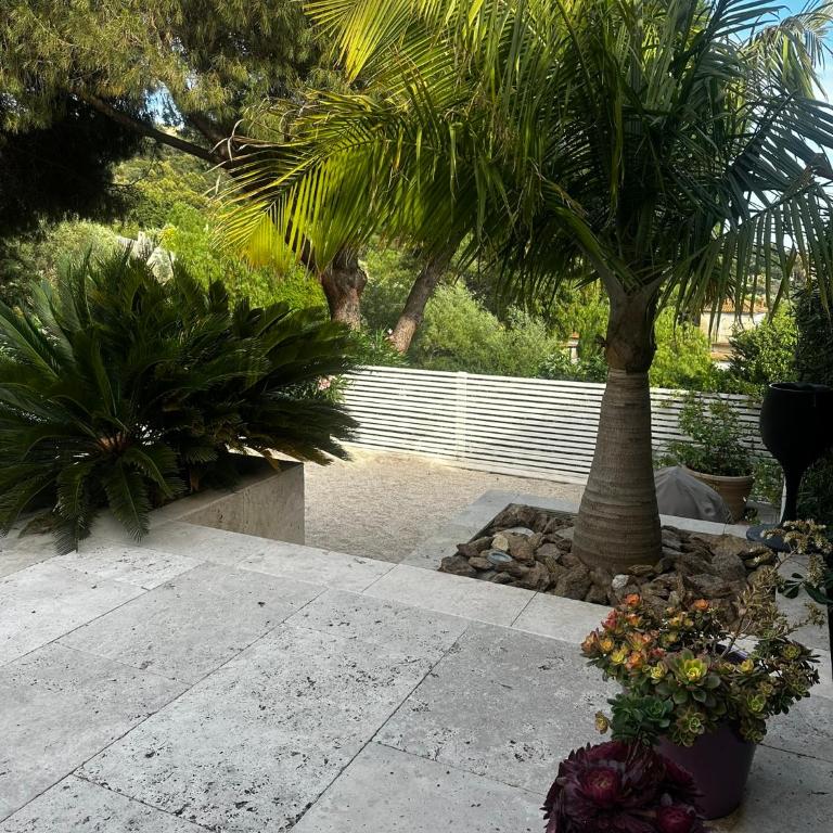 Soleil 1481 - One-Bedroom Premium Apartment with Ocean View - 12