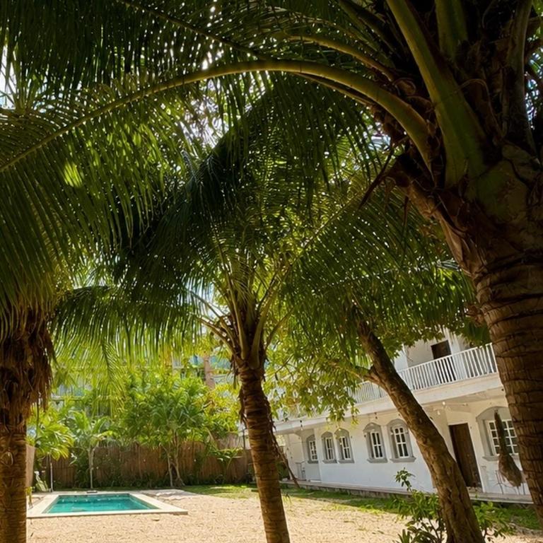 Casa Caimán - Appartement Familial 2 Chambres - 10