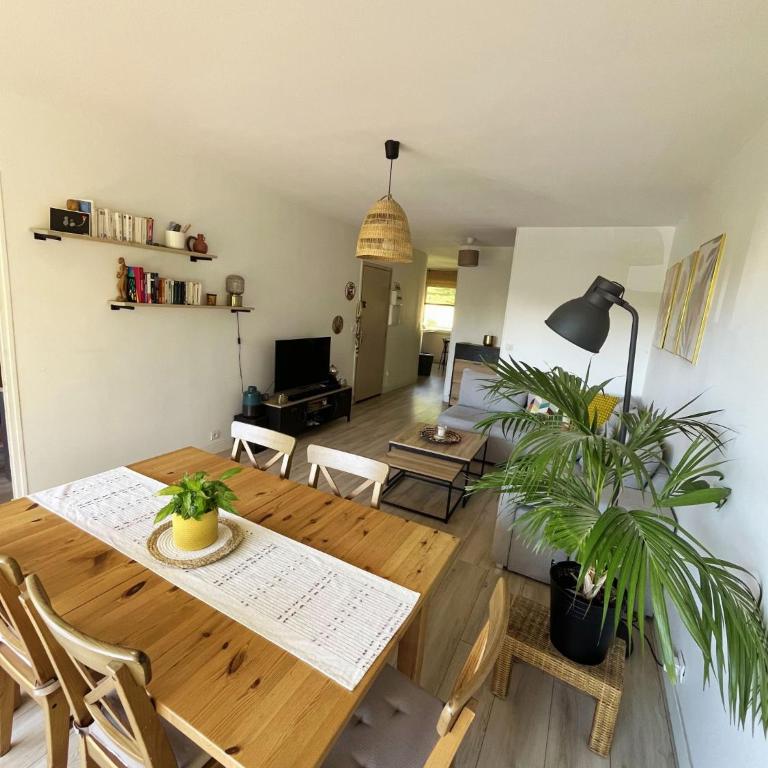 Appartement familial avec piscine & grande terrasse - Appartement 2 Chambres - 3