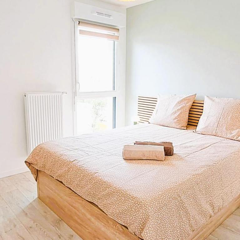 Bulles du Bassin d'Arcachon - Appartement 1 Chambre - 6