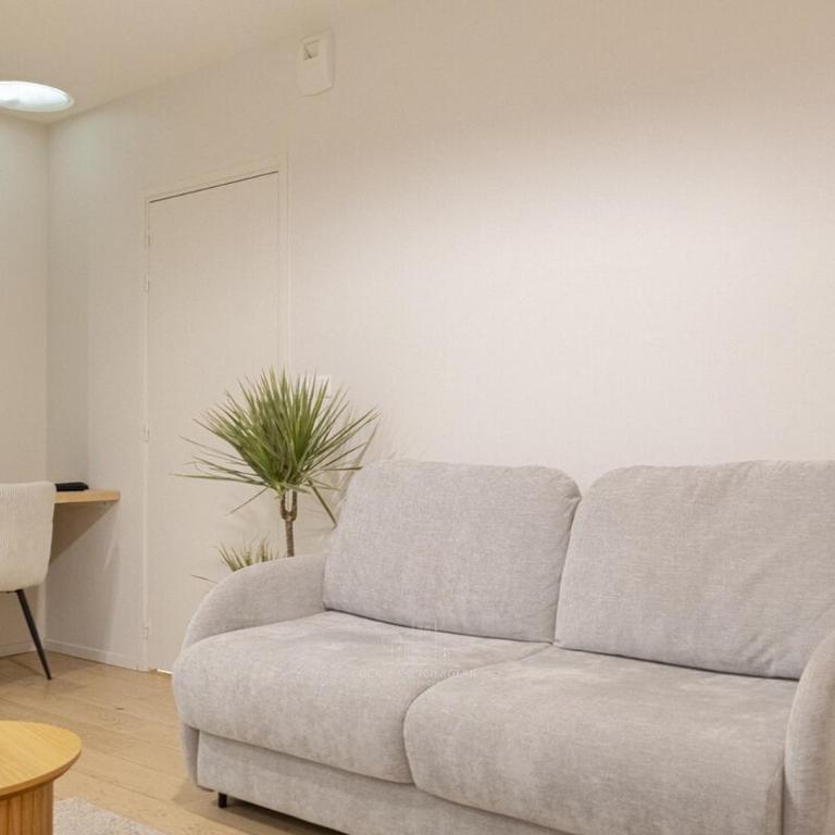 Joli studio spacieux en hypercentre - Appartement - 15