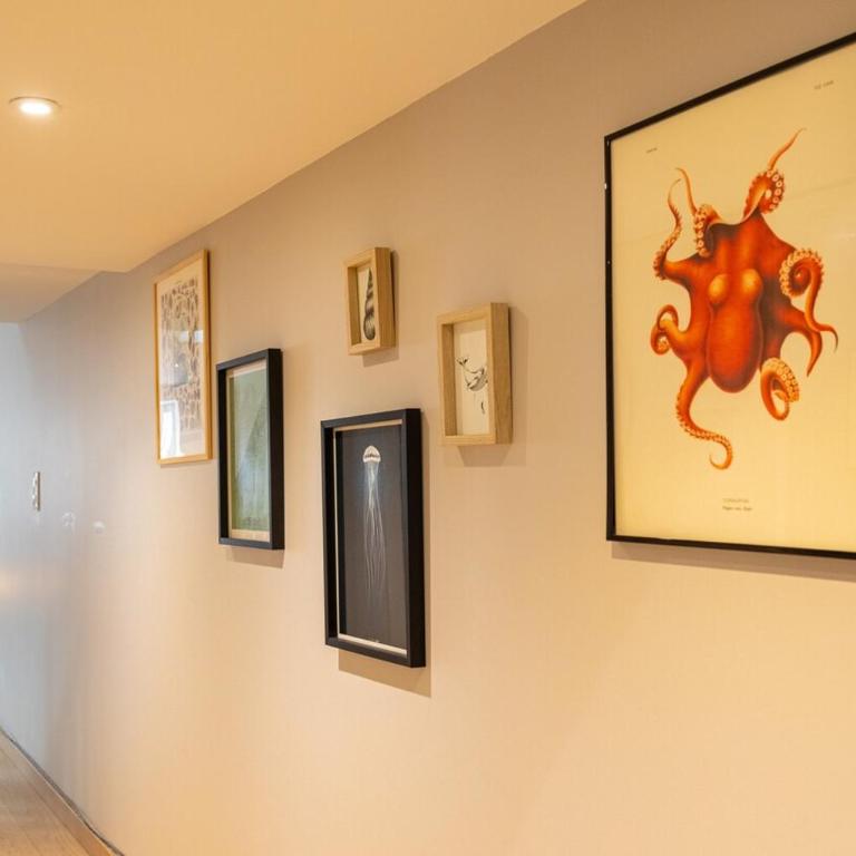 Duplex lumineux au marché de La Rochelle - Appartement - 19