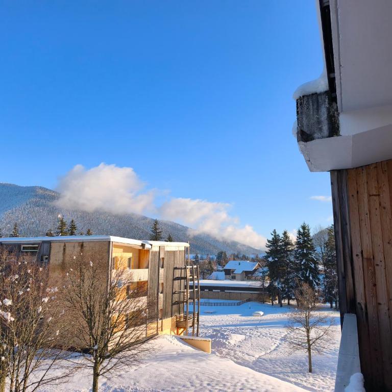L appartement d alexia - Appartement 1 Chambre - 7