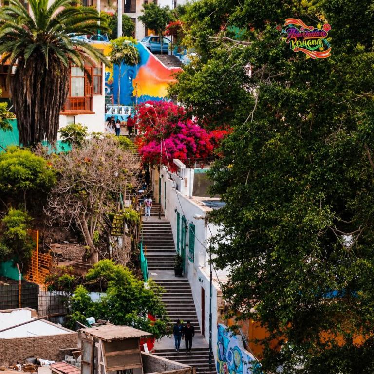 Lindo Apart en Barranco cerca a Miraflores con BICICLETAS GRATIS - One-Bedroom Apartment - 27