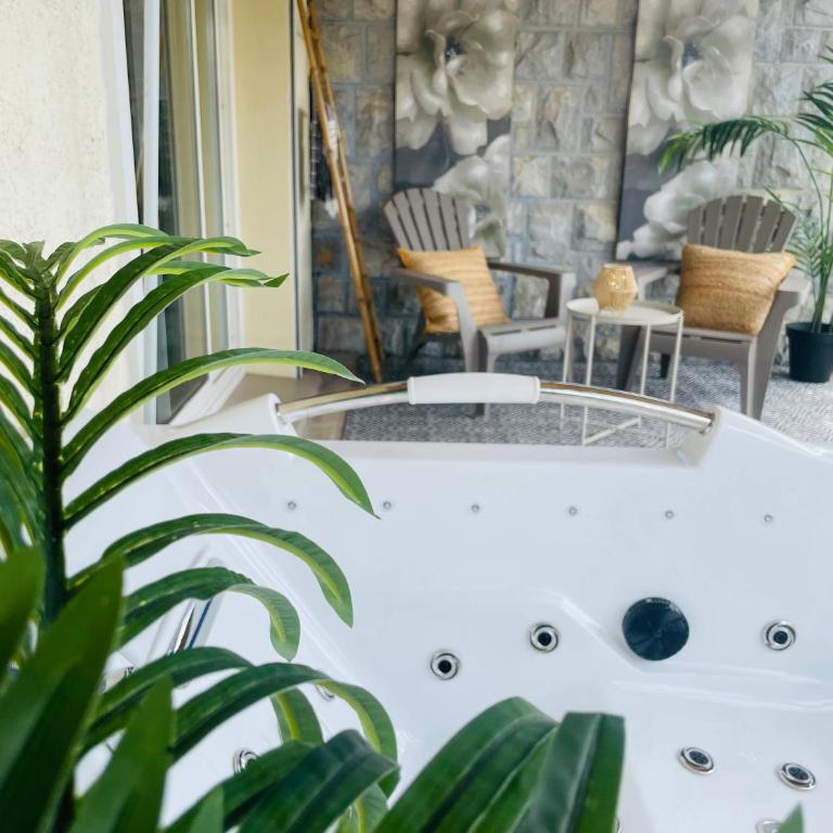 Appart vue Cité, balnéo privée, clim, jardin, parking gratuit - Studio - 19