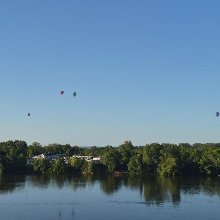 Appartement de prestige face Loire, au pied du château - Appartement 2 Chambres - Vue sur Rivière - 25