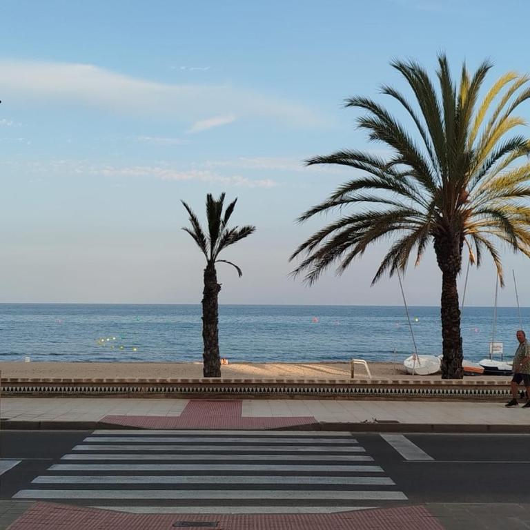 Campello Muchavista Beach - Apartamento de 2 dormitorios - 7