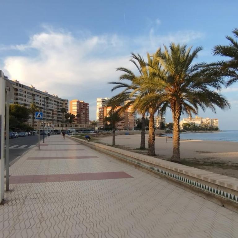 Campello Muchavista Beach - Apartamento de 2 dormitorios - 16