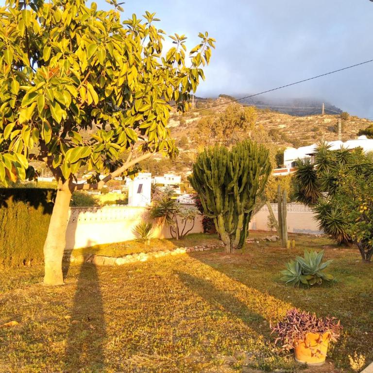 Villa Calpe - Casa de 3 dormitorios - 29