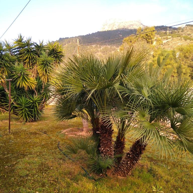 Villa Calpe - Casa de 3 dormitorios - 28