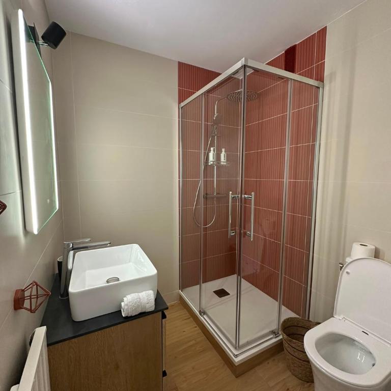 Studio-Parking privé-Centre ville de Pau - Appartement 1 Chambre - 4