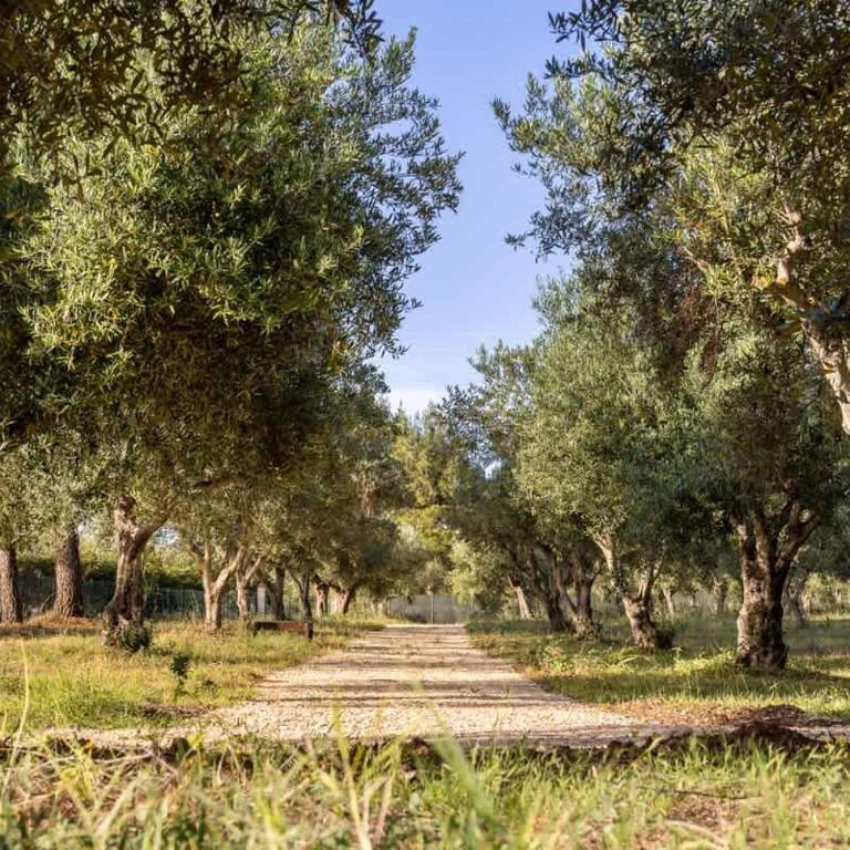 Casa Jo - Castellammare del Golfo a 5 Minuti dalla Spiaggia con Piscina - Casa Vacanze - 35