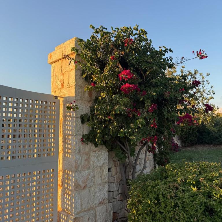 Guest house with pool & sea view, Casa Faro - Appartamento con 2 Camere da Letto - 18